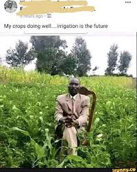 My Crops Doing Well Irrigation Is The Future