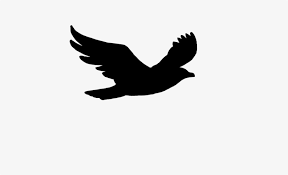 Vogel silhouette silhouette clip art animal silhouette harry potter silhouette remembrance day art fall arts and crafts magazine crafts bird quilt black panther marvel. Flying Bird Silhouette Clipart Bird Flight Clip Art Cartoon Black Bird Flying Png Image Transparent Png Free Download On Seekpng