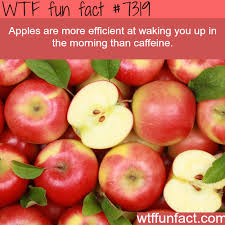 Lemon juice is an effective option to keep apples slices fresh. Apples Are Better Than Caffeine Wtf Fun Fact