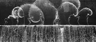 The Best Photos From The B W Child Photography 2015 Photo Contest Photography Contests Photography Themes Smithsonian Photo Contest