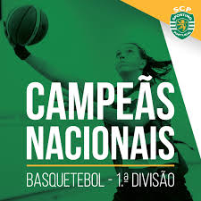 Statements sporting cp official statement 5 days ago main team all eyes on rio ave fc 6 days ago main team amorim: Timeline Photos Sporting Clube De Portugal Personal Qualities Best Club Muscle