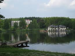Hier können sie ein flair 125, eines der beliebtesten town & country typenhäuser, live besichtigen. Blick Auf See Hotel Und See Haus Seehotel Kell Am See Kell Am See Holidaycheck Rheinland Pfalz Deutschland