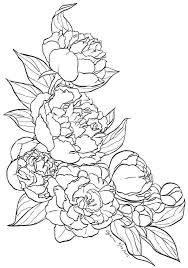 Flower Tattoo Pattern Flower Drawing Flower Sketches Flower Pattern Drawing