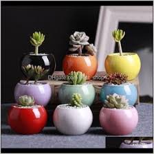 Great savings & free delivery / collection on many items. Shop Small Ceramic Flower Pots Wholesale Uk Small Ceramic Flower Pots Wholesale Free Delivery To Uk Dhgate Uk