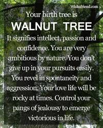 Walnut Birth Tree Libra Quotes Birth Sign Tree