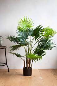 Adding one of these statement makers changes the whole look and feel of a room. Large Fan Artificial Palm Tree Rockett St George