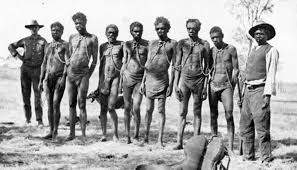 Kiwi are a symbol for the uniqueness of new zealand wildlife and the value of our natural heritage. Revealed The Real Reason New Zealand Didn T Become Part Of Australia Newshub