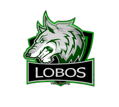 Check spelling or type a new query. Mascot Logo Lobos Vzla Gaming Fondos De Pantalla De Juegos Lobos Disenos De Unas