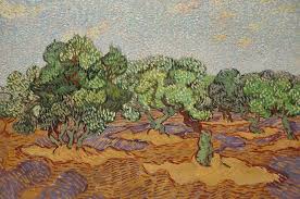 Vincent Van Gogh Olive Trees 1889 Van Gogh Olive Trees Vincent Van Gogh Van Gogh