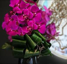 Maybe you would like to learn more about one of these? Toronto Flower Delivery Best Flower Delivery Florist Downtown Toronto The Chocolate Tulip