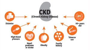 Risk Factors That Lead To Chronic Kidney Disease Chronic Kidney Disease Is A Condition Charact Kidney Disease Chronic Kidney Disease Causes Of Kidney Disease
