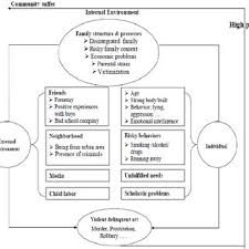 Female Juvenile Delinquency Status Processes Flow Chart