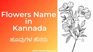 All of the different types of birds listed above are parts of their common name. Flowers Name In Kannada à²¹ à²µ à²—à²³ à²¹ à²¸à²° Flowers Name