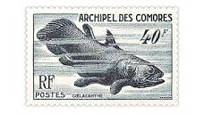 Comoro Islands Coelacanth stamp popular with a variety of collectors