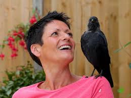 Meet Jake the crisp-eating jackdaw who thinks his owners are his parents