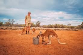 Alice springs is the beating heart of australia's red centre. Alice Springs Is Australia S Best Kept Secret Conde Nast Traveller India Undiscoveraustralia