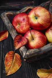 Red Apple Kitchen Decor Elma Boyama Kirmizi Elma Meyve