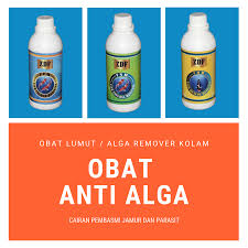 Get the zdf logo as a transparent png and svg(vector). Zdf Medicine Home Facebook