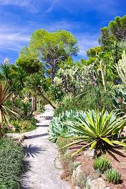 Definir Son Style De Jardin Coach Creation Jardin Jardins Jardin Exotique