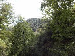 Check spelling or type a new query. Wheeler Gorge Campground Parks Management Company Get Outdoors California Camping