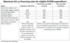 When The Cap Budget Pendulum Finally Stopped Swinging Cap Reform