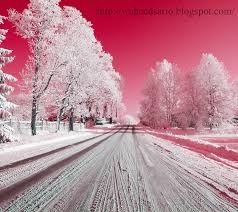 The #1 personalization app in the world! Winter Wallpaper Hd Zedge New Zedge Wallpapers Hd 890x791 Wallpaper Teahub Io