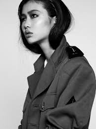 Victoria's Secret Fashion Show 2017 sẽ trở thành 'sân nhà' của 6 chân dài  này đây!