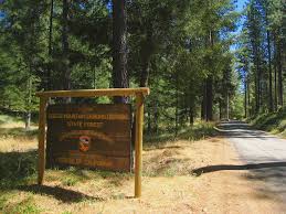 Jug handle ecological staircase trail. Boggs Mountain Demonstration State Forest Wikipedia