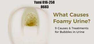 We did not find results for: Facebook