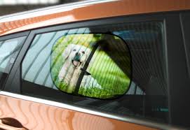 Wir beraten sie gern persönlich. Auto Sonnenschutz Kinder Lieben Ihn Rossmann Fotowelt