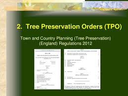 It is placed on attractive trees, or which enhance the appearance of an area. Tree Related Planning Legislation Ppt Download