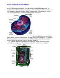 We did not find results for: Doc Biologi Sel Hewan Dan Sel Tumbuhan Dea R Anggraini Academia Edu