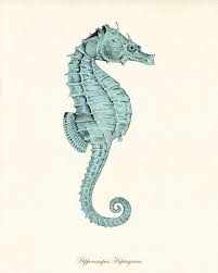 Azul Mar Coral Arte Nautica Impresion Nautica Conjunto Arte Etsy Coral Art Seahorse Art Nautical Art