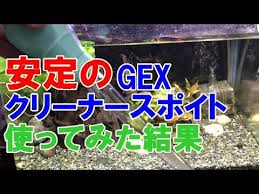 Manage your video collection and share your thoughts. Gex ã‚¯ãƒªãƒ¼ãƒŠãƒ¼ã‚¹ãƒã‚¤ãƒˆä½¿ã£ã¦ã¿ãŸçµæžœ ç†±å¸¯é­š ã‚¢ã‚¯ã‚¢ãƒªã‚¦ãƒ  Youtube