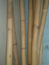 Get the best deal for timber bamboo bamboos from the largest online selection at ebay.com. Cane Pole Approx 30mm Thick 18 Per Metre Cobra Cane