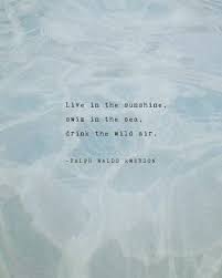 Pin By Elyssa Mitchell On Quotes In 2020 Quote Posters Ocean Quotes Emerson Quotes