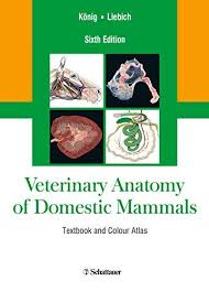 Download Pdf Veterinary Anatomy Of Domestic Mammals Textbook And Colour Atlas Sixth Edition Free Epub Mobi Ebooks Textbook Mammals Anatomy