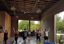 UnWINEd Yoga with Rebecca — Sakonnet Vineyard