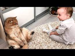 Cute Baby And Cats Playing Together A Baby And A Cat Play Extremely Funny Youtube Cat Playing Cute Babies Cats