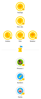 There are usually about 5 of these, . Approaching Duolingo One Way To Catch An Owl Polyglossic