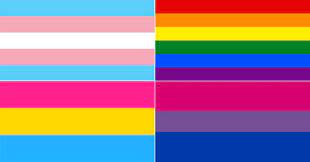 Hace un año, uno de los antibandera atacó a mestre en redes sociales con un mensaje en el que expresa su odio contra los homosexuales. Guia Rapida Para No Perderte Entre Las Muchas Banderas E Identidades Del Orgullo Lgbt