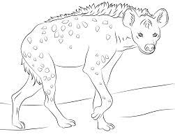 Striped hyena 12 coloring page. Deserts Coloring Pages Coloring Pages For Kids And Adults