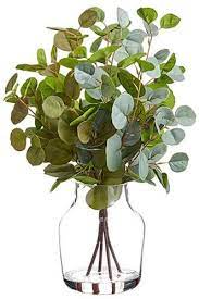 Amazon Com 20 Silk Eucalyptus Arrangement W Glass Vase Green Brown Home Kitchen Plant In Glass Artificial Potted Plants Plant Vase