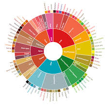 Coffee Bean Taste Chart Best Picture Of Chart Anyimage Org