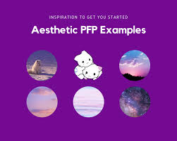 A collection of the top 50 aesthetic pfp wallpapers and backgrounds available for download for free. How To Create An Aesthetic Pfp The Ultimate Guide Turbofuture