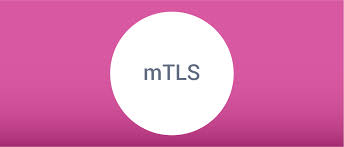 It is a default mode of authentication in some protocols ( ike, ssh) and optional in others ( tls ). Mutual Tls Client Authentication Curity