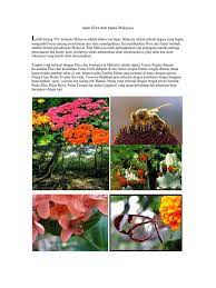 Di semenanjung malaysia lebih kurang 8000 spesies tumbuh. Alam Flora Dan Fauna Malaysia