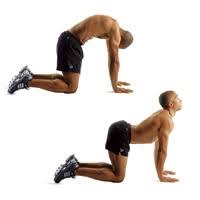Start in a neutral four point position on your hands and knees. Warm Up Stretches And Exercises Tnt Man S Low Carb 52dc Journey