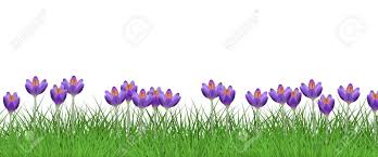We did not find results for: Spring Floral Border With Bright Purple Crocuses On Fresh Green Grass Isolated On White Background Decorative Frame With Beautiful Seasonal Lawn Flowers On Greenery In Vector Illustration Royalty Free Cliparts Vectors
