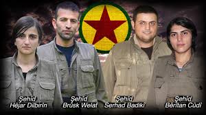 Anf Hpg Kahraman Sehitlerimizin Hayallerini Gerceklestirecegiz